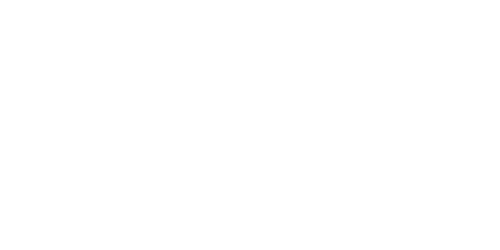 Stake Bet Logo